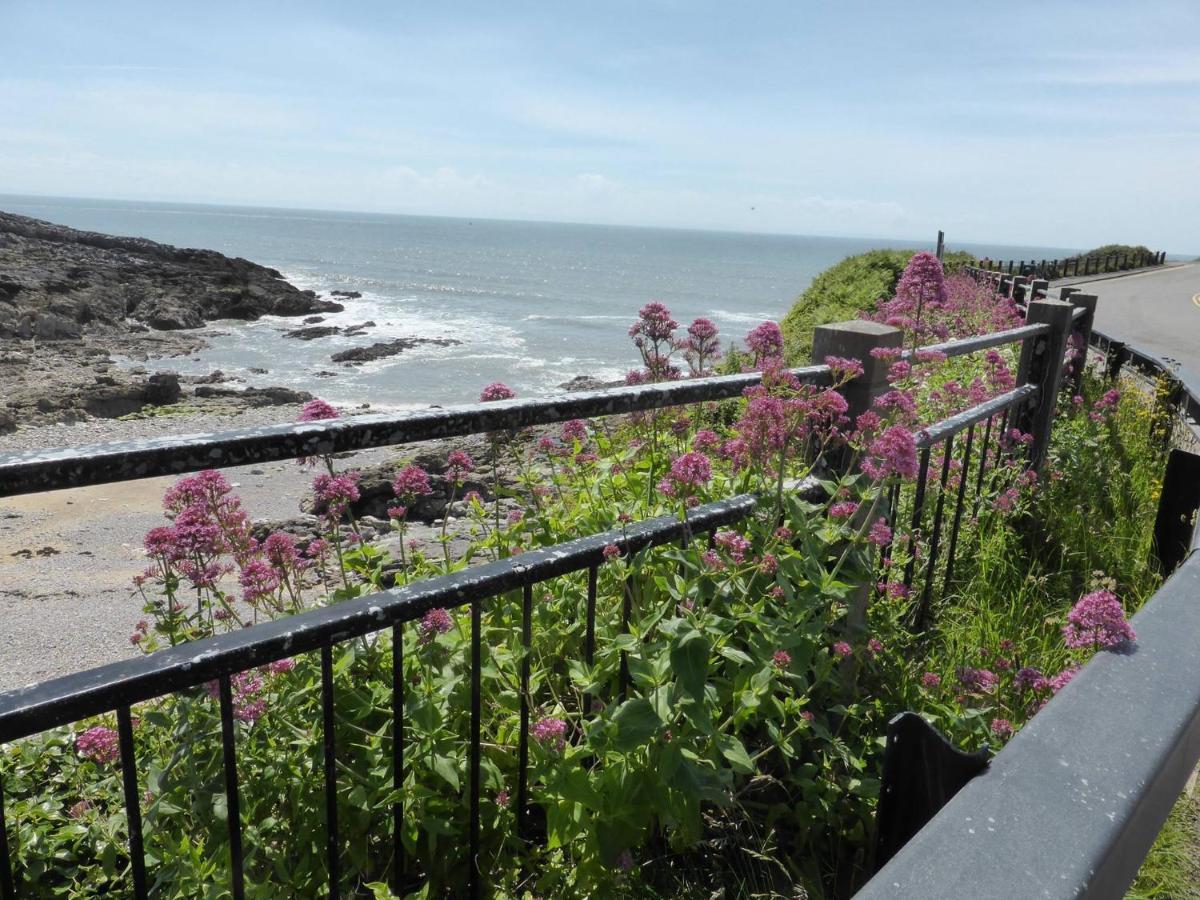 2A Redcliffe Apartment Bishopston Екстер'єр фото